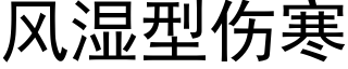 風濕型傷寒 (黑體矢量字庫)