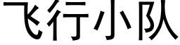 飛行小隊 (黑體矢量字庫)