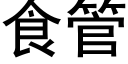 食管 (黑體矢量字庫)