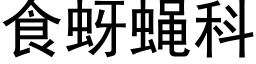 食蚜蝇科 (黑体矢量字库)