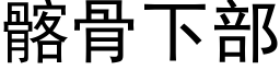 髂骨下部 (黑体矢量字库)