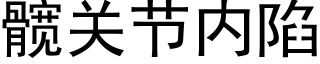 髋關節内陷 (黑體矢量字庫)