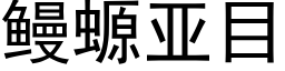 鳗螈亚目 (黑体矢量字库)