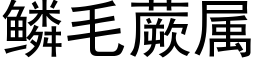 鳞毛蕨属 (黑体矢量字库)