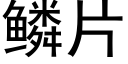 鱗片 (黑體矢量字庫)