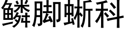 鳞脚蜥科 (黑体矢量字库)