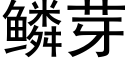 鱗芽 (黑體矢量字庫)