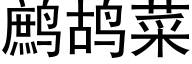 鹧鸪菜 (黑体矢量字库)