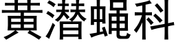 黄潜蝇科 (黑体矢量字库)