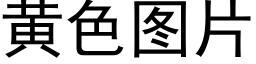 黄色图片 (黑体矢量字库)