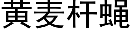 黄麦杆蝇 (黑体矢量字库)