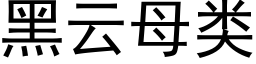 黑云母类 (黑体矢量字库)