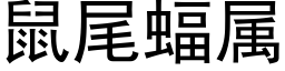 鼠尾蝠屬 (黑體矢量字庫)