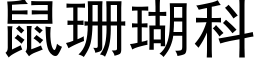 鼠珊瑚科 (黑體矢量字庫)