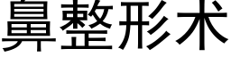 鼻整形術 (黑體矢量字庫)