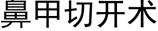 鼻甲切開術 (黑體矢量字庫)