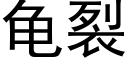 龜裂 (黑體矢量字庫)