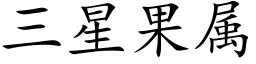 三星果屬 (楷體矢量字庫)