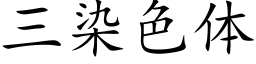 三染色體 (楷體矢量字庫)