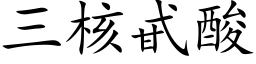 三核甙酸 (楷体矢量字库)