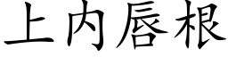 上内唇根 (楷体矢量字库)