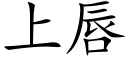 上唇 (楷體矢量字庫)