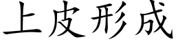 上皮形成 (楷体矢量字库)