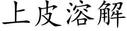 上皮溶解 (楷体矢量字库)