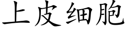 上皮细胞 (楷体矢量字库)