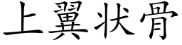 上翼状骨 (楷体矢量字库)