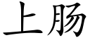 上肠 (楷体矢量字库)