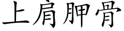 上肩胛骨 (楷体矢量字库)