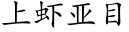 上虾亚目 (楷体矢量字库)