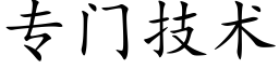 专门技术 (楷体矢量字库)