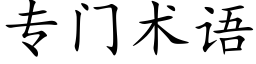 专门术语 (楷体矢量字库)