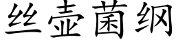 絲壺菌綱 (楷體矢量字庫)