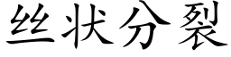 丝状分裂 (楷体矢量字库)