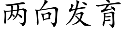 兩向發育 (楷體矢量字庫)