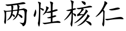 兩性核仁 (楷體矢量字庫)