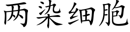 兩染細胞 (楷體矢量字庫)