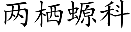 两栖螈科 (楷体矢量字库)