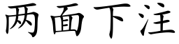 两面下注 (楷体矢量字库)