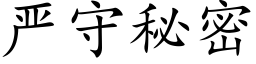 嚴守秘密 (楷體矢量字庫)