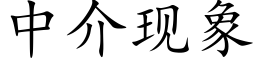 中介现象 (楷体矢量字库)