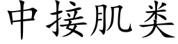 中接肌类 (楷体矢量字库)