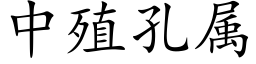 中殖孔屬 (楷體矢量字庫)