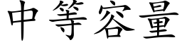 中等容量 (楷體矢量字庫)