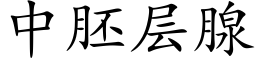 中胚層腺 (楷體矢量字庫)