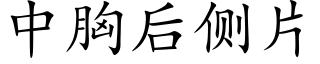 中胸後側片 (楷體矢量字庫)