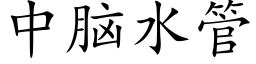 中脑水管 (楷体矢量字库)